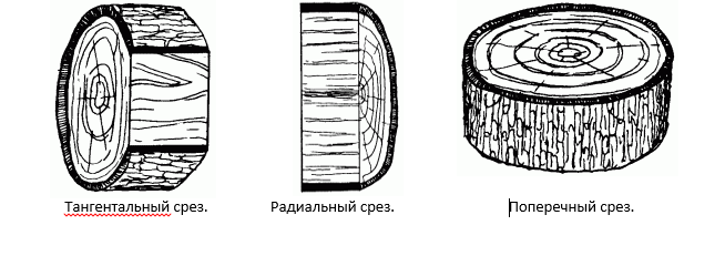 Три разных вида срезов в зависимости от направления