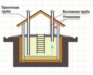 Процесс вентиляции погреба