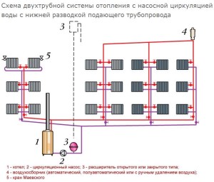 Схема двухтрубной системы отопления с насосной циркуляцией воды с нижней разводкой подающего трубопровода